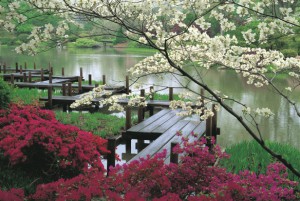 japanese-garden-jjennings-design