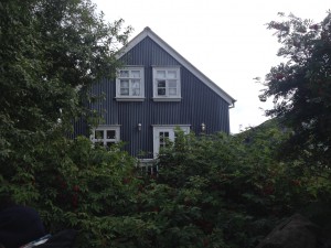 Iceland House 2