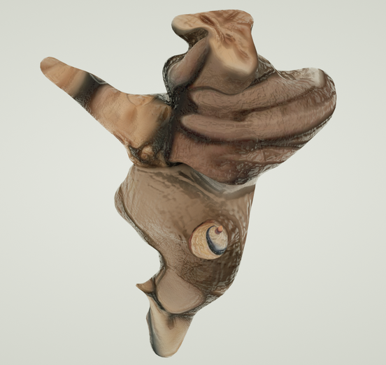 Planting Humanity in Two Novels of Han Kang